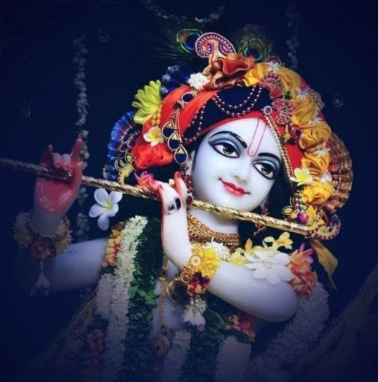 🌸 Today’s Special Darshan | Sri Sri Radha Pandharinath 🌸 🙏🏻 Behold the ...