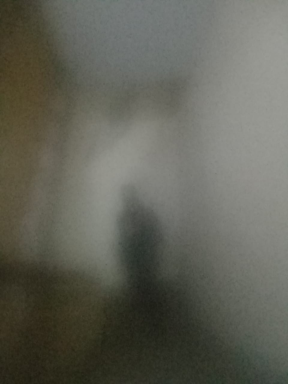 ?media_id=100006112576411