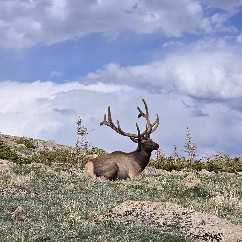 200” Typical… but what do you think? Is this truly a 200-inch typical ...