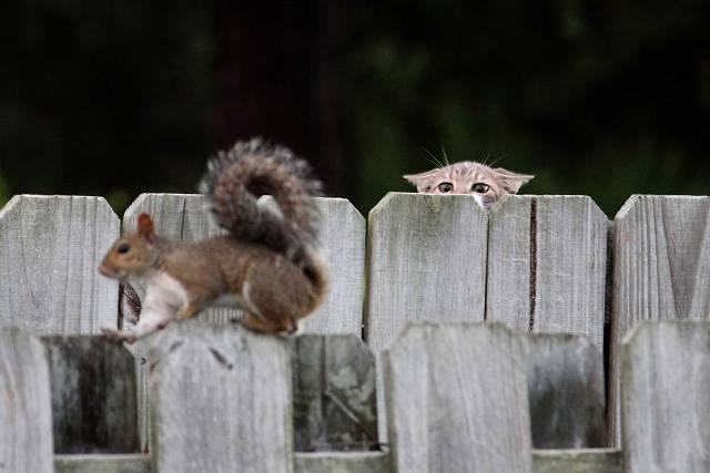 Six months ago.. Spring was springing | Denis Walsh