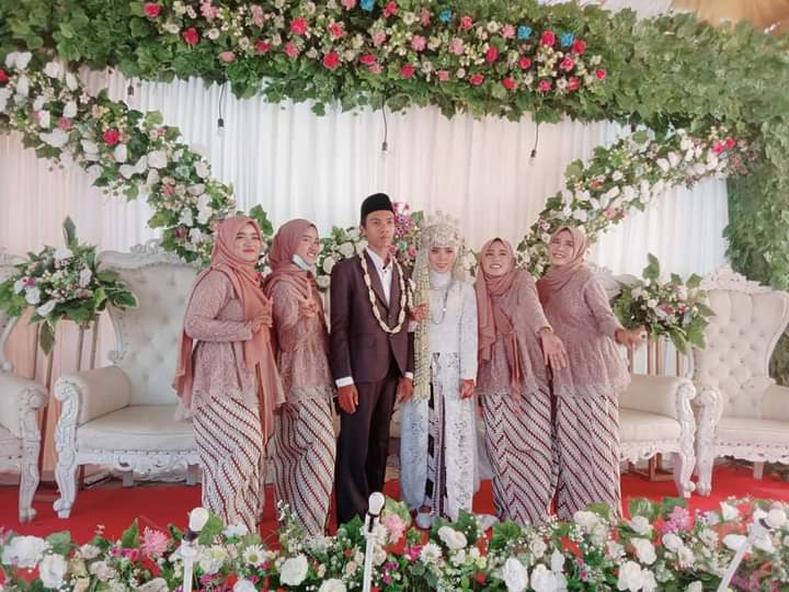 Daun Rindang