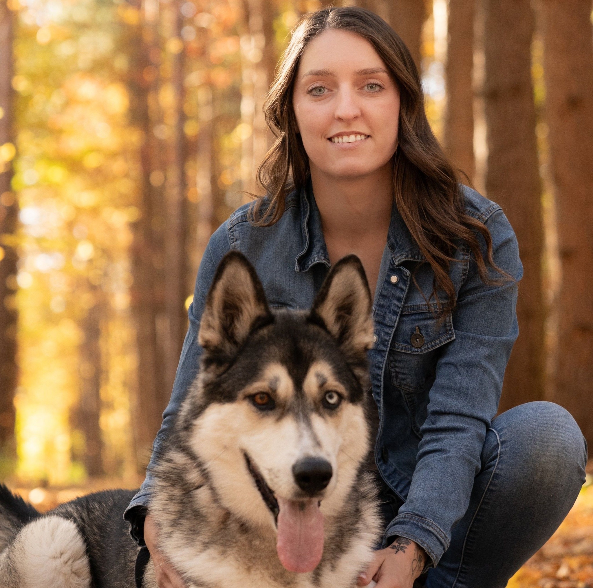 BorderCollie pedigree and breeder research (for real) | Anyone know ...