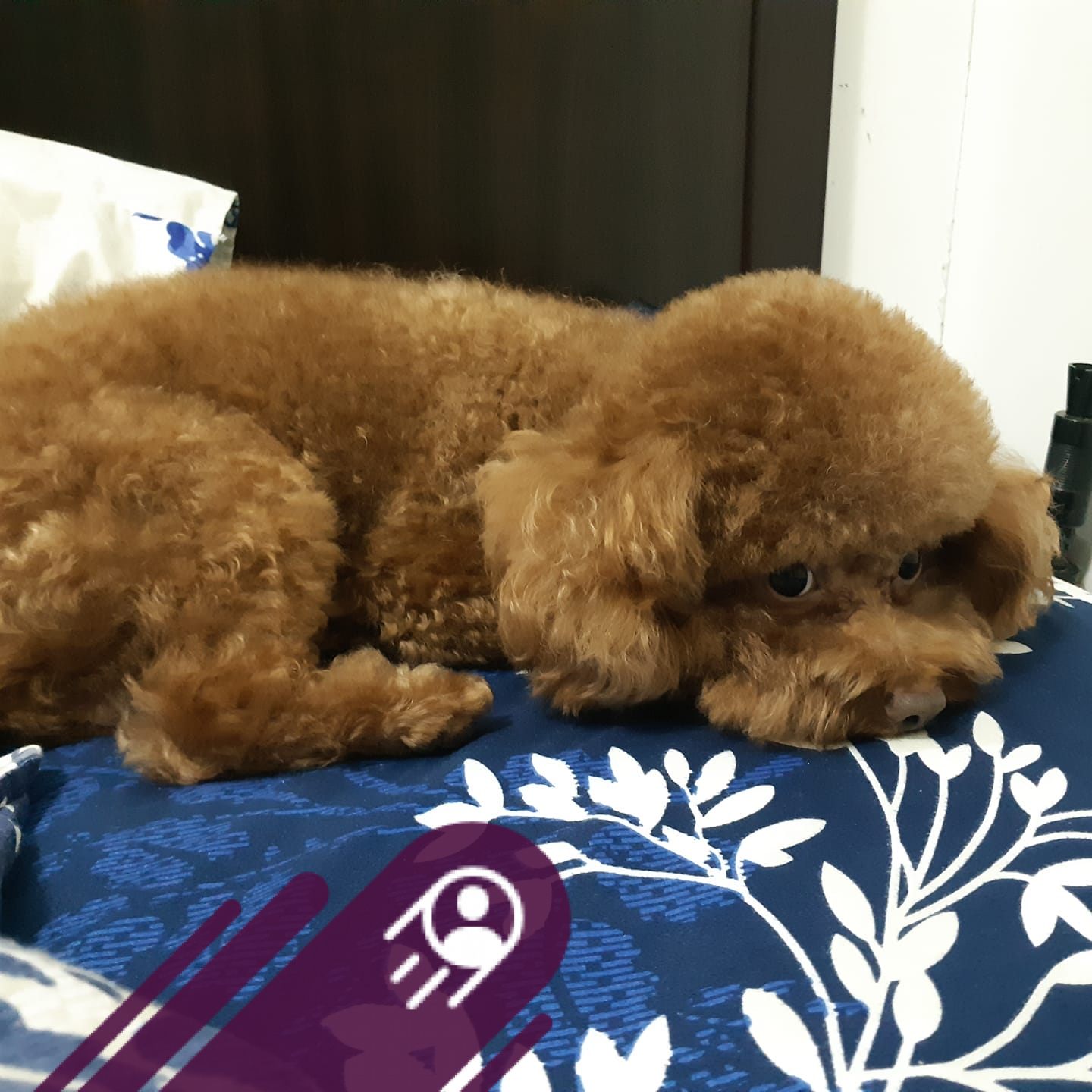 超級牛牛波段交易所 | 我超想換一家 ⋯⋯我現在手續2.8 | Facebook