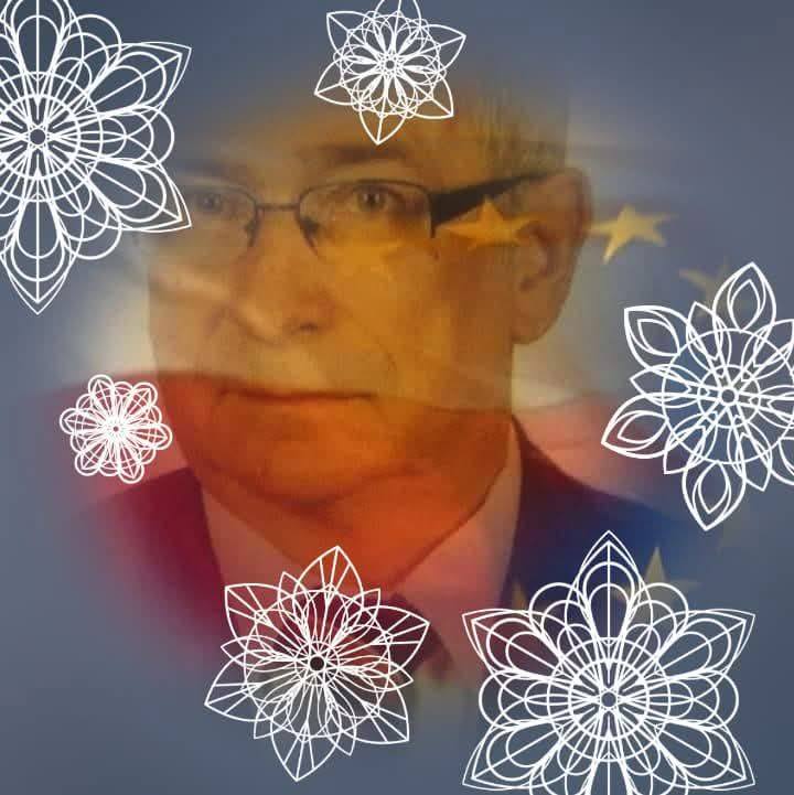 Grzyby - Grzybiarze - woj. MAZOWIECKIE. | Czy to jest podsuszony ...