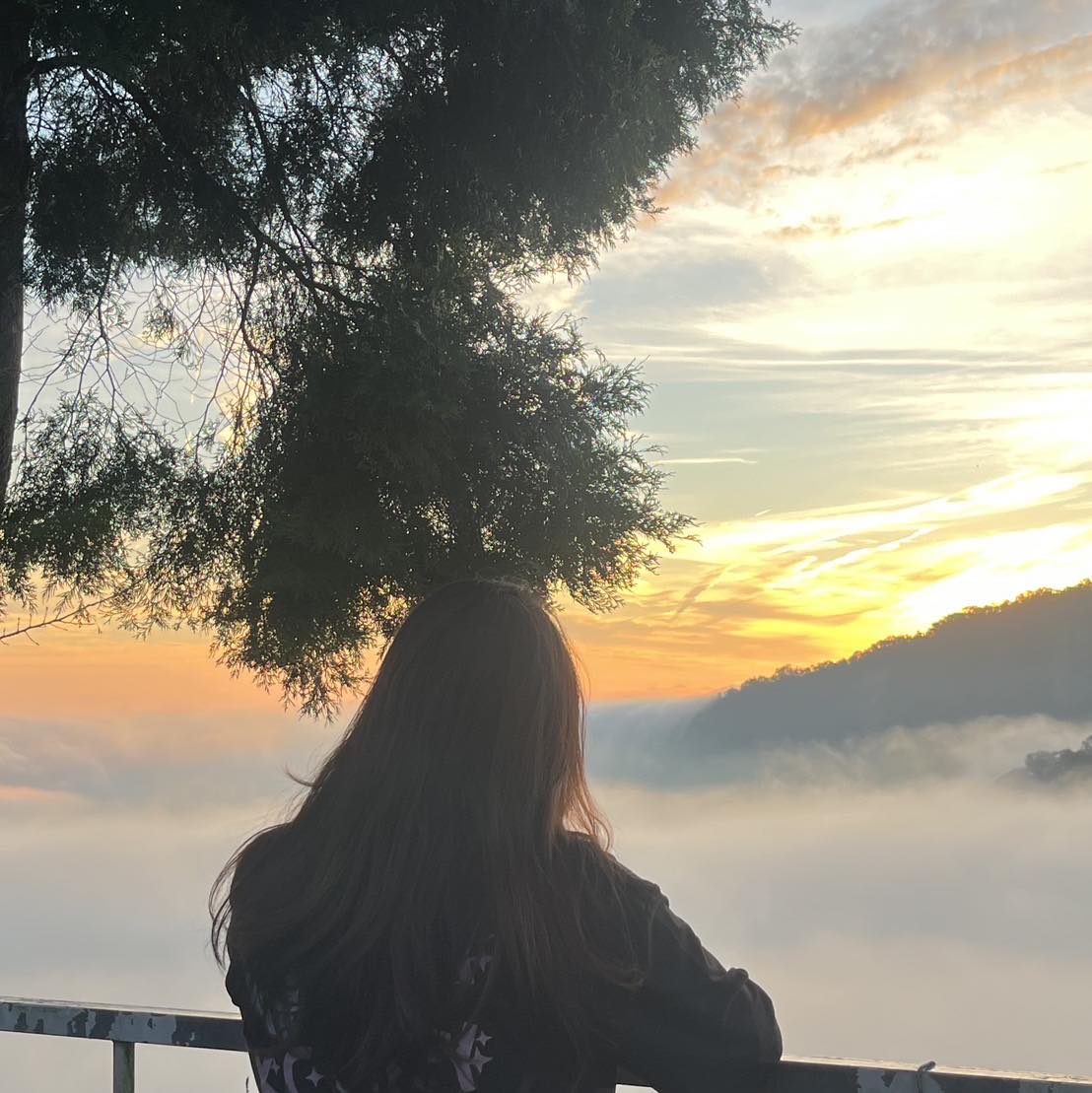 巴威颱風算是走得蠻快，只有兩趟很狼狽已知足。 | 薯家日常