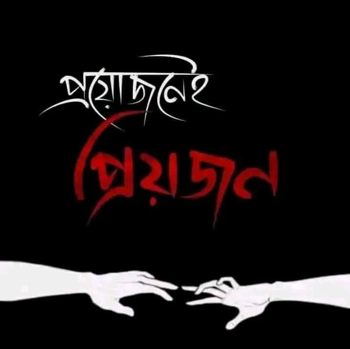 Md Razzak Mia