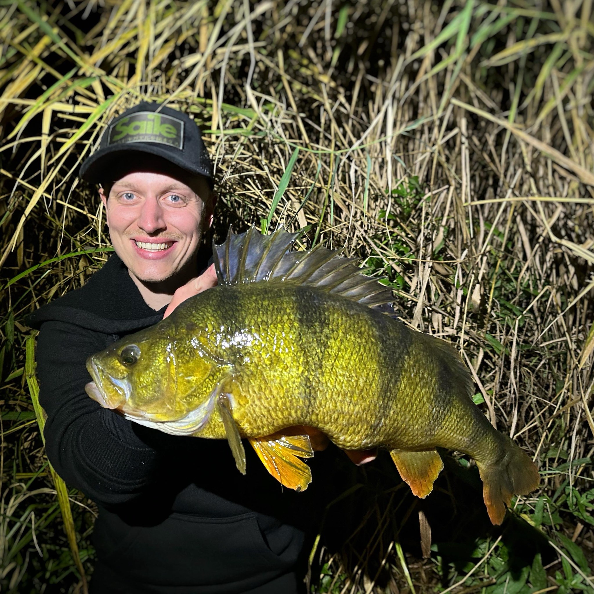 Autumn is really here and the Perch are migrating back to the brackish ...
