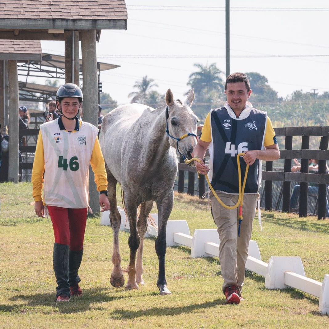 San Alfonso Arabians