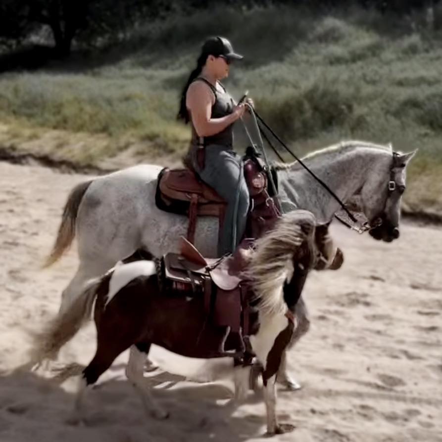 Fresh chaps just rode in #thebestinthewest Built for reining, roping ...