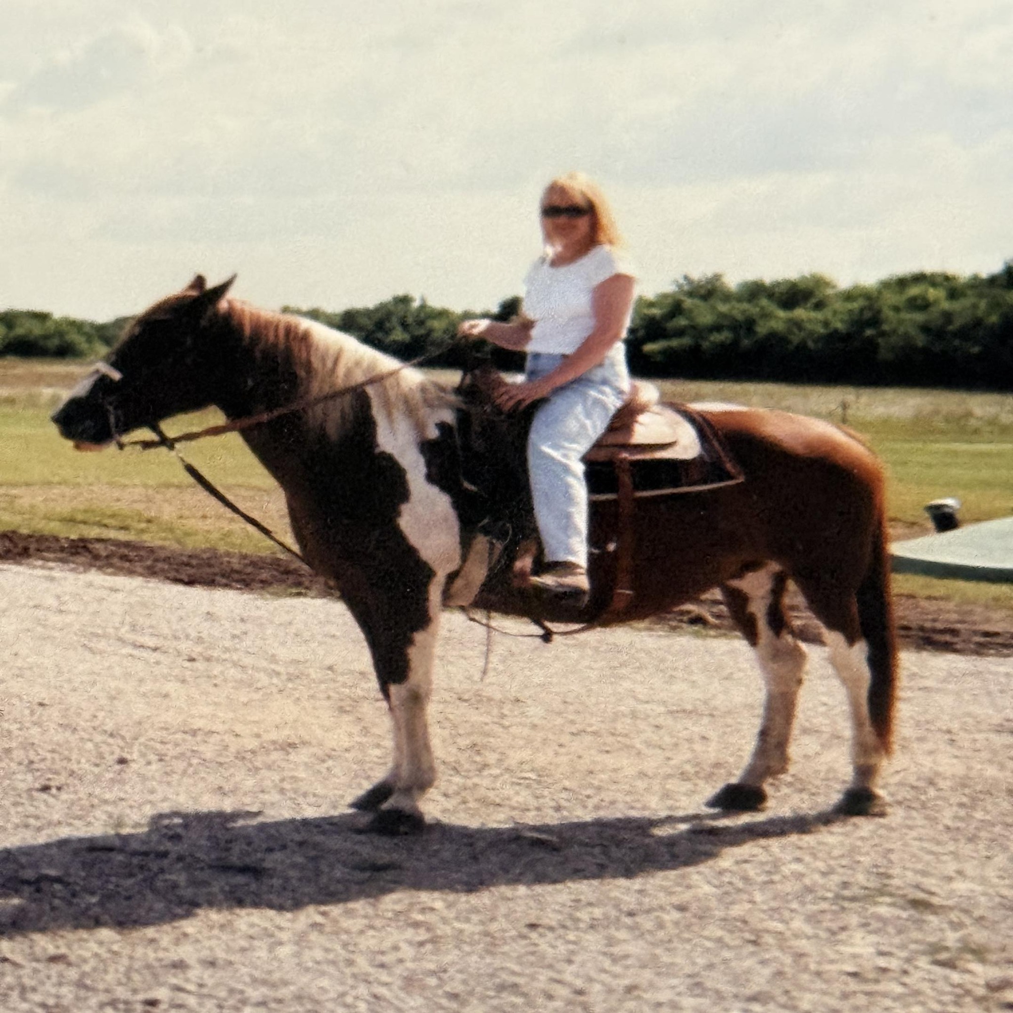 Horse questions, problems, answers, help | Has anyone ever had a horse ...