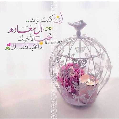 aya-elkady
