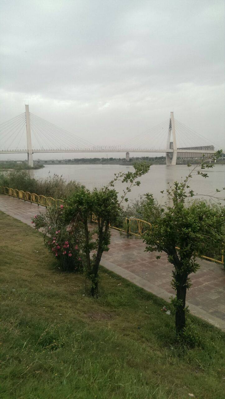 سهراب - بسان نسیمی از روی خودم برخواهم خاست، درها را خواهم گشود، در شب ...