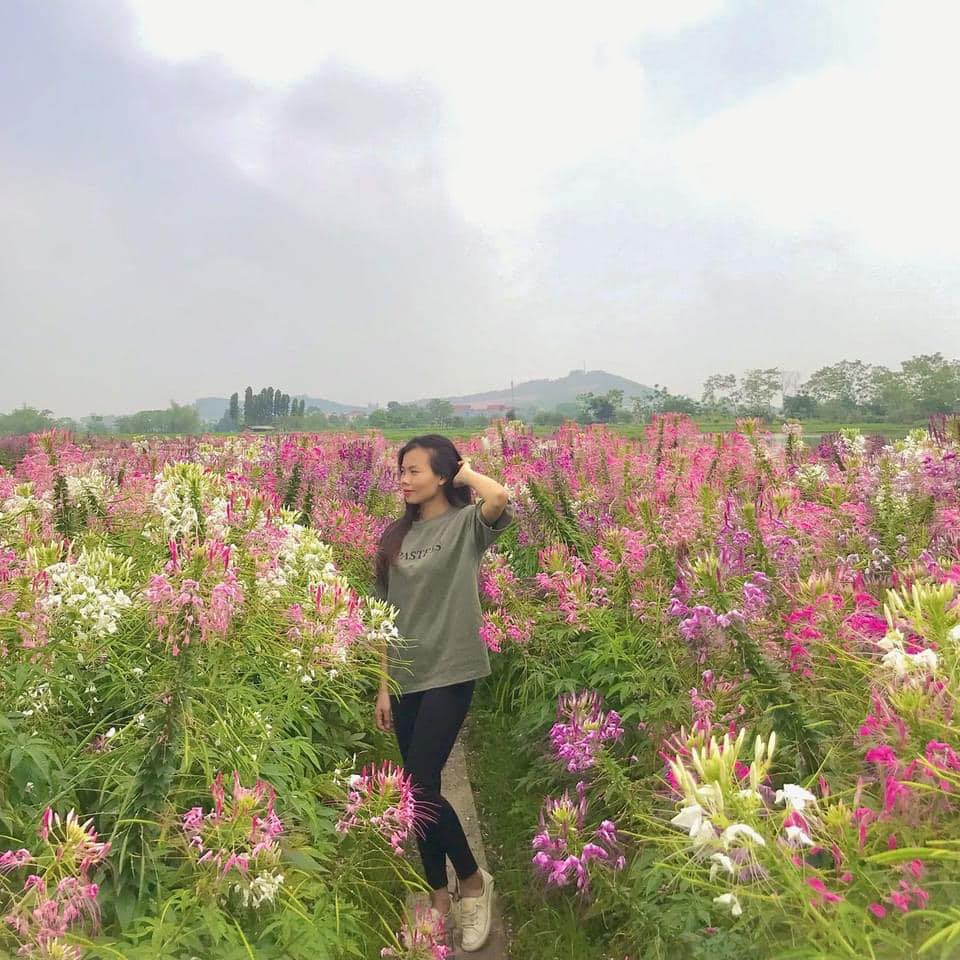 Bệnh mất ngủ, rối loạn lo âu, rl tiền đình, đau đầu; dạ dày, đại tràng ...