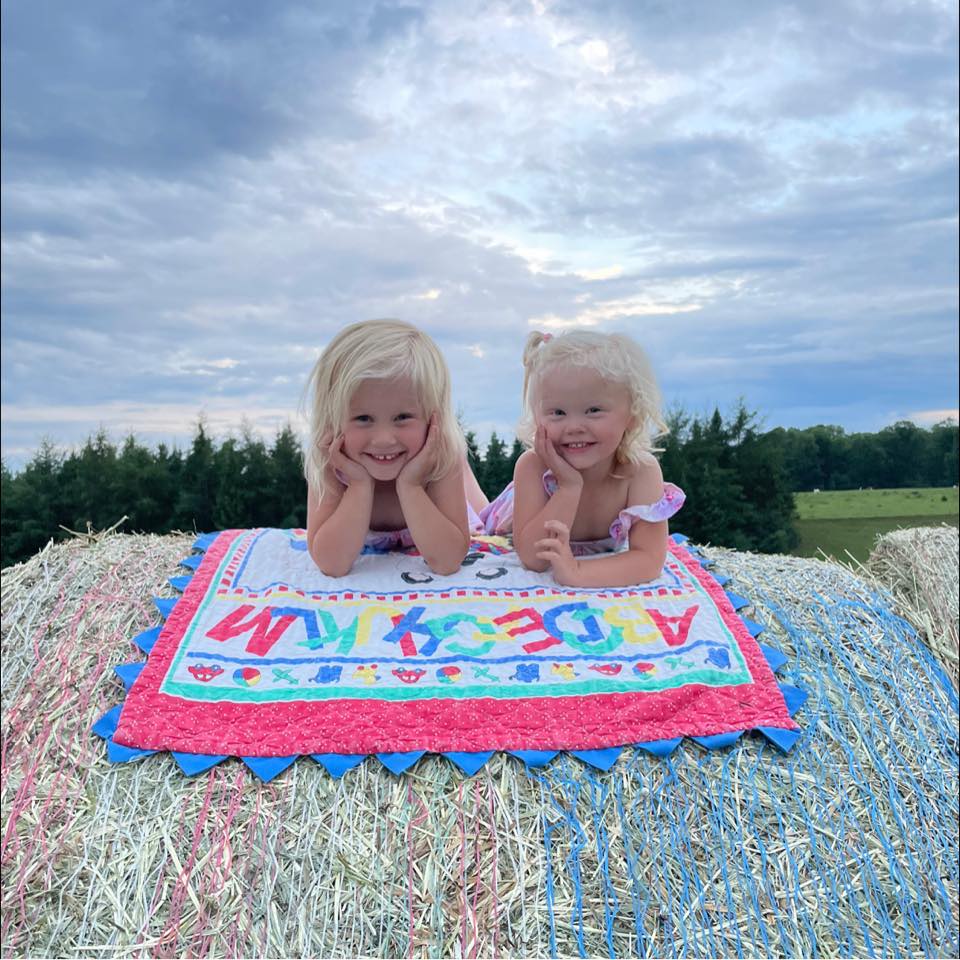 Silage Kings | Can anyone identify what make or model bagger this is ...