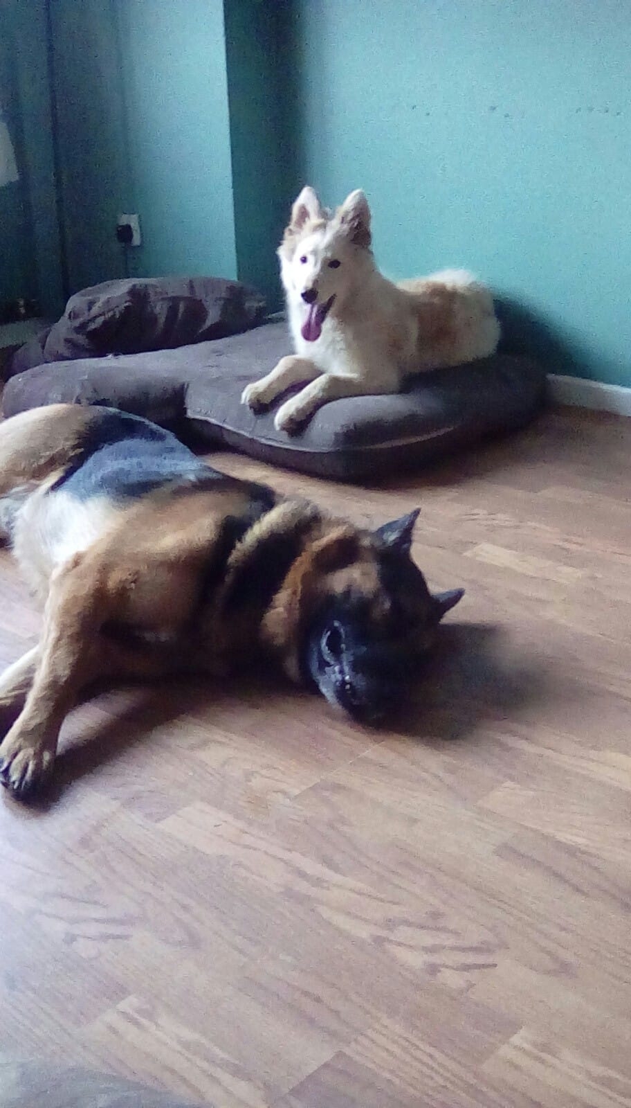 Lol conan lukin me 2 put tis up showin his new slippers so ere u go wee ...