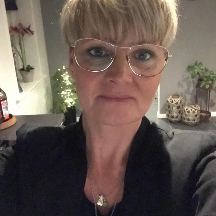 Heste og ponyer til salg på Fyn | Facebook
