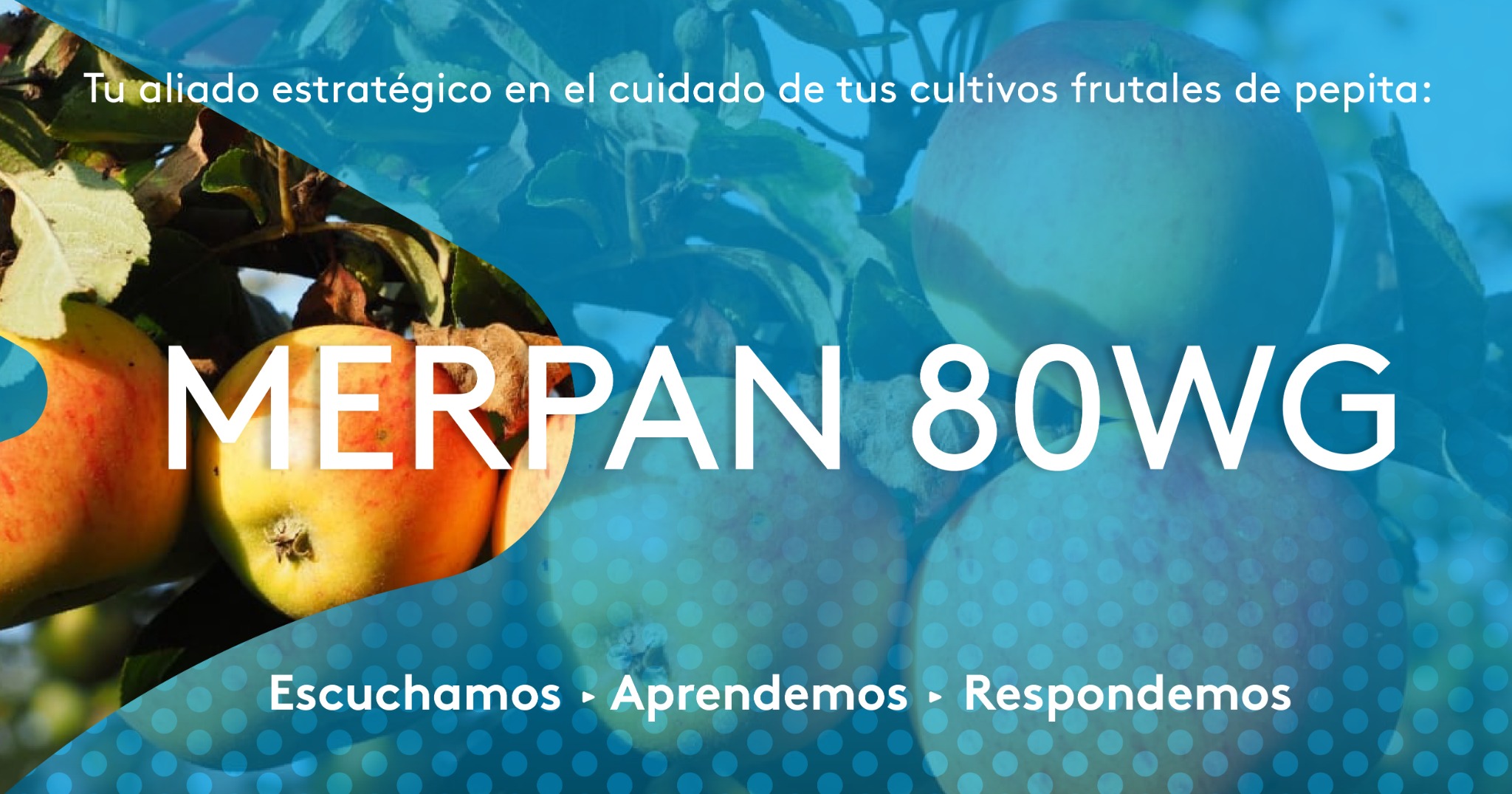 ADAMA España - Descubre la eficacia de #MERPAN80WG de... | Facebook