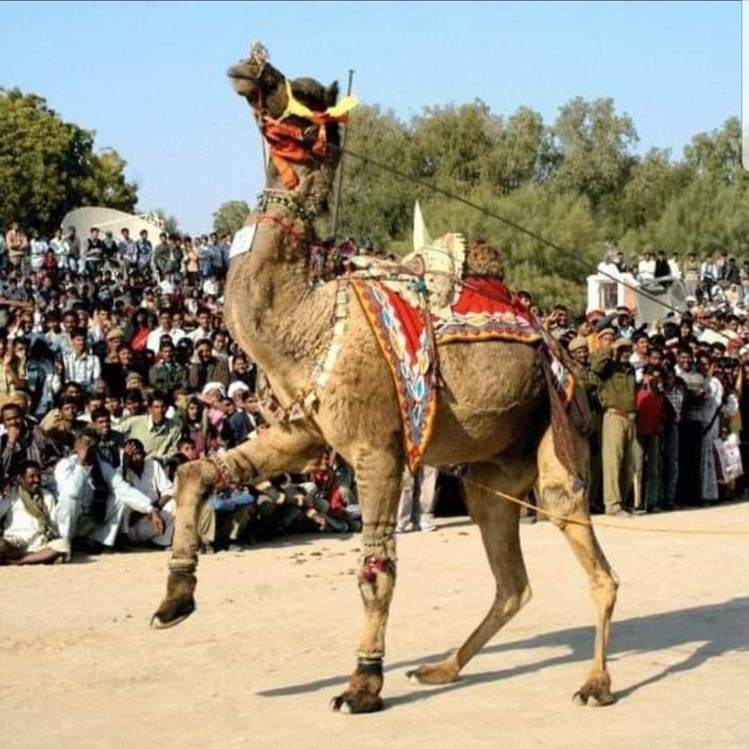 Captivating Pakistan