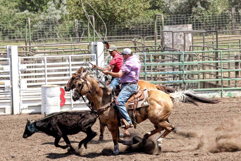 Congratulations to Matt McDowell Reiners and FS Gunners Chic on tying ...