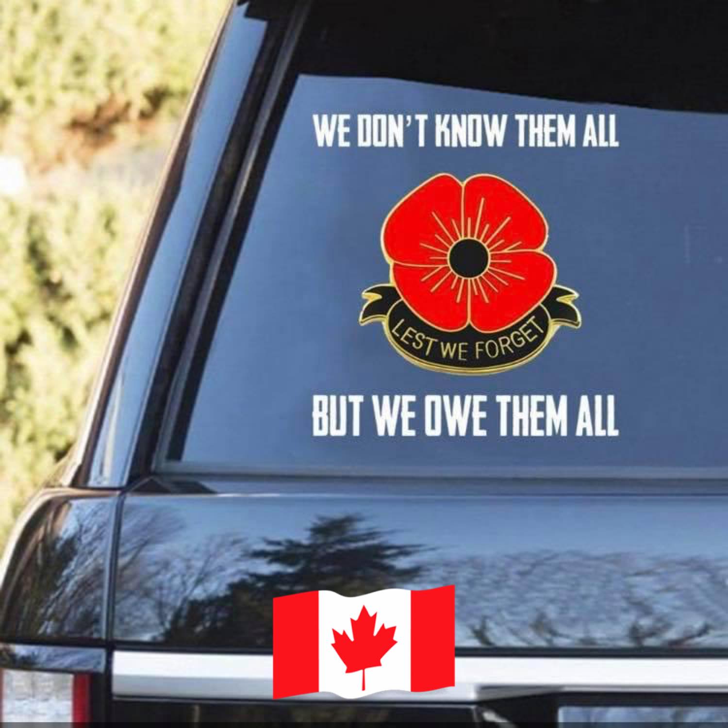 Bill C-3 just turned Canadian citizenship into a participation trophy ...