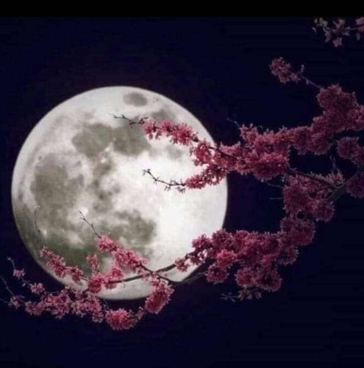 لقطه من مسلسل أصحاب الكهف الحلقة الأخيرة | ﻋﻤﺎﺭ ﺍﻟﺒﻨﺎ | Facebook