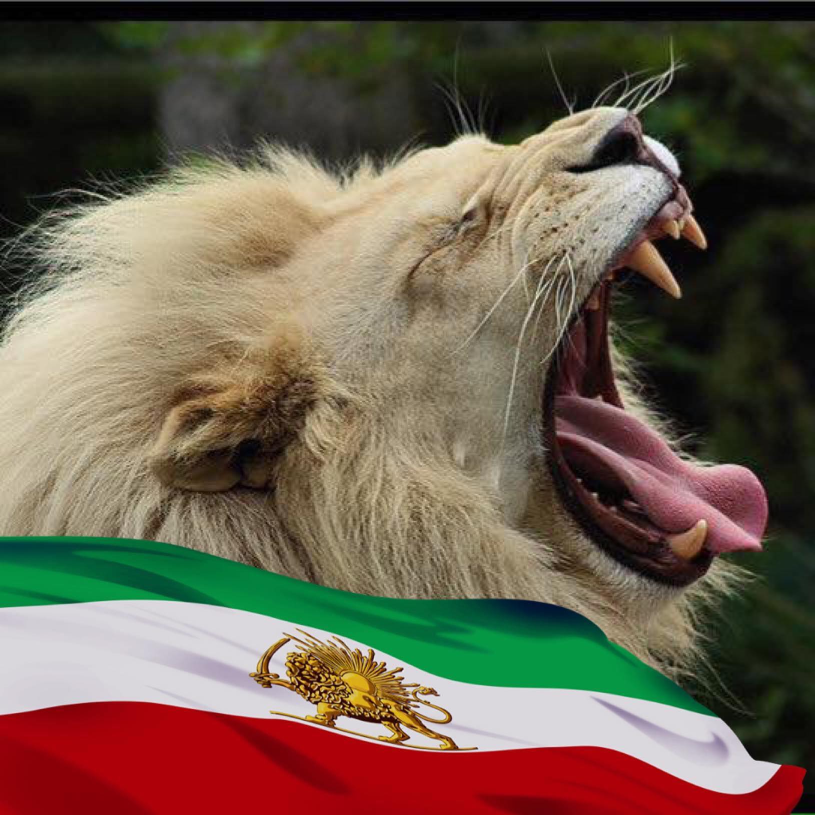 تمامی عکس ها و اسامی این جاوید نامان واقعی و از کشته شدگان قیام دی ماه ...