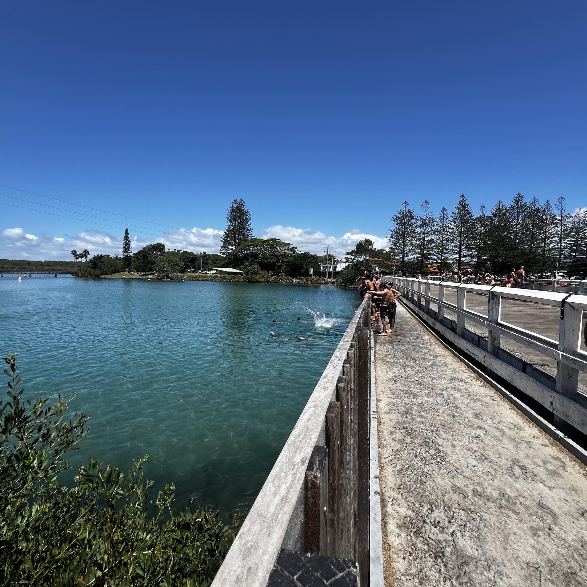 Ballina Community Notice Board | Hi I'm looking for someone to remove ...