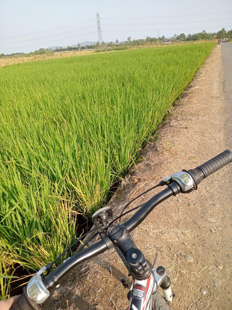Mancing Mania Purbalingga Perwira (MMP) | Panase ra karuan 🥵🥵🥵 | Facebook
