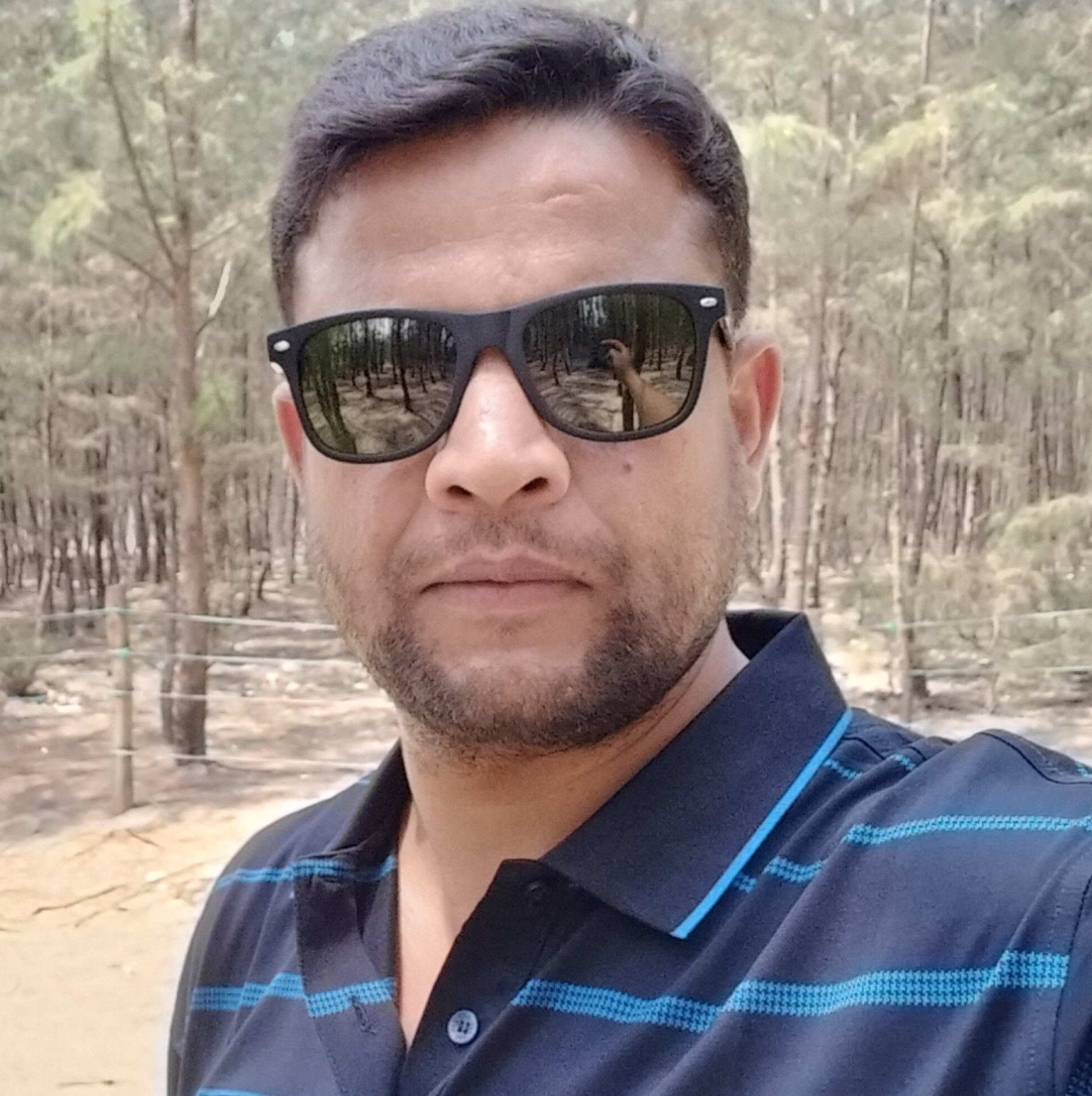 Mamun AR Roshid