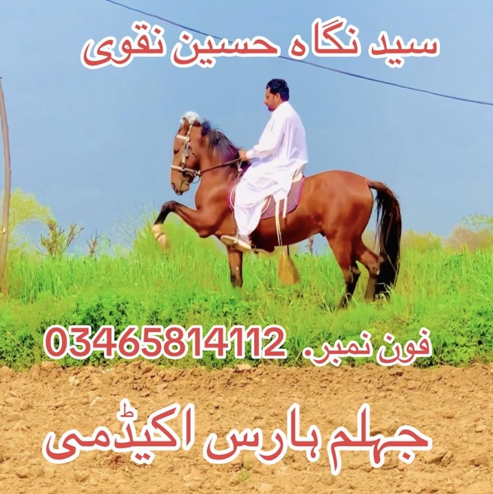 Raj Bakhtiar Gondal | Chal Leed Triner