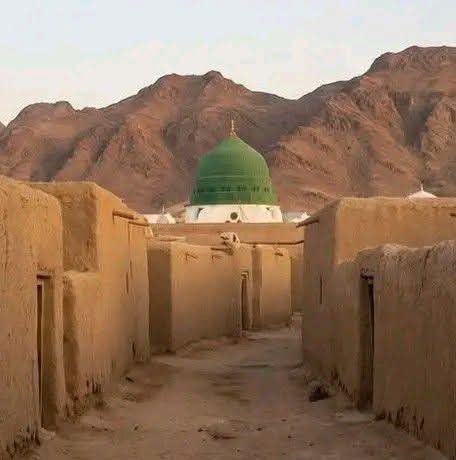 سیدہ سدرا اکبر صوفی
