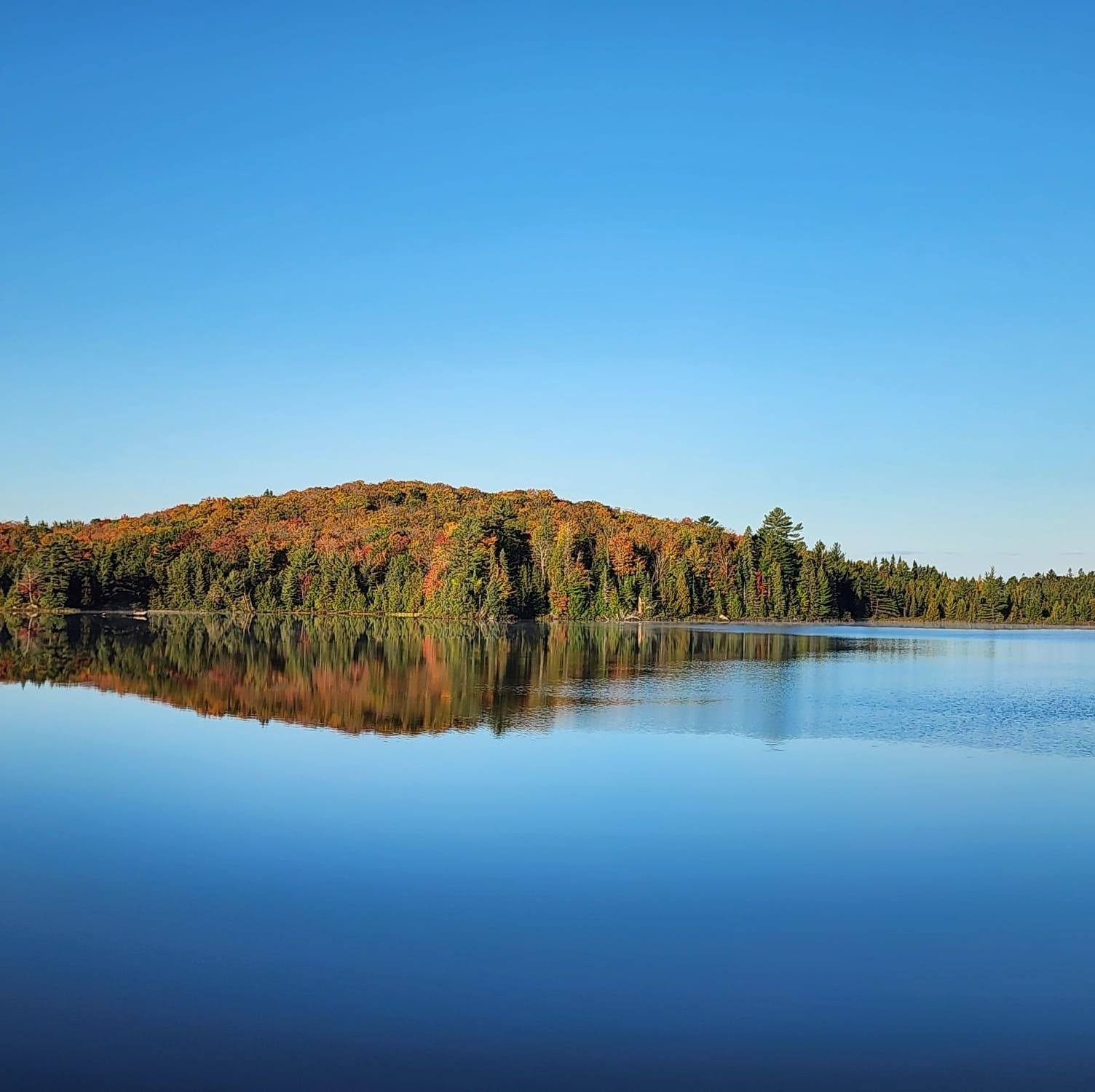 FOR SALE Glasford,Mapleton and Kingston Mines,Lake Camelot Area | Nice ...