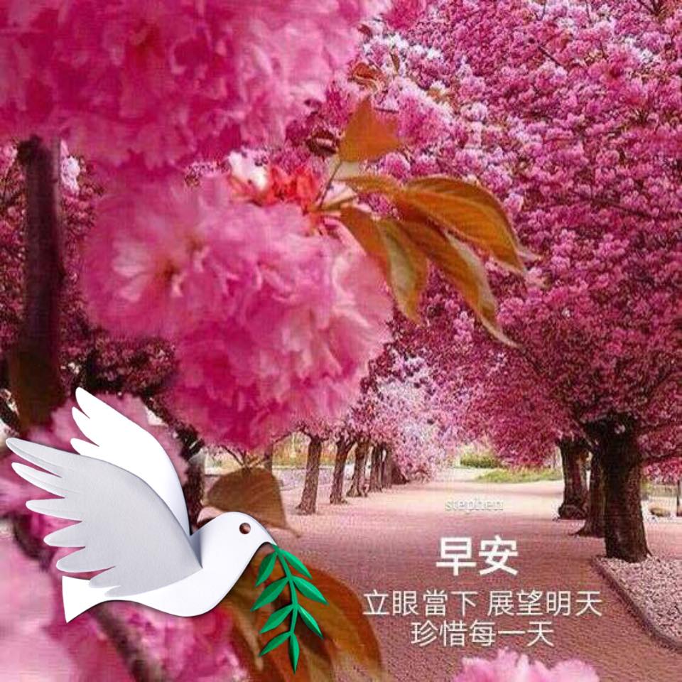 臺灣意識, 國族定位, 防衛民主, 制敵鎮支 戰略行動論壇 | 台韓 記憶體大戰II | Facebook