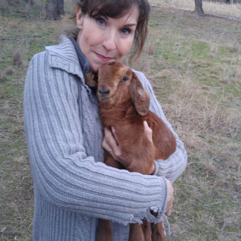 Dianne Rudolph