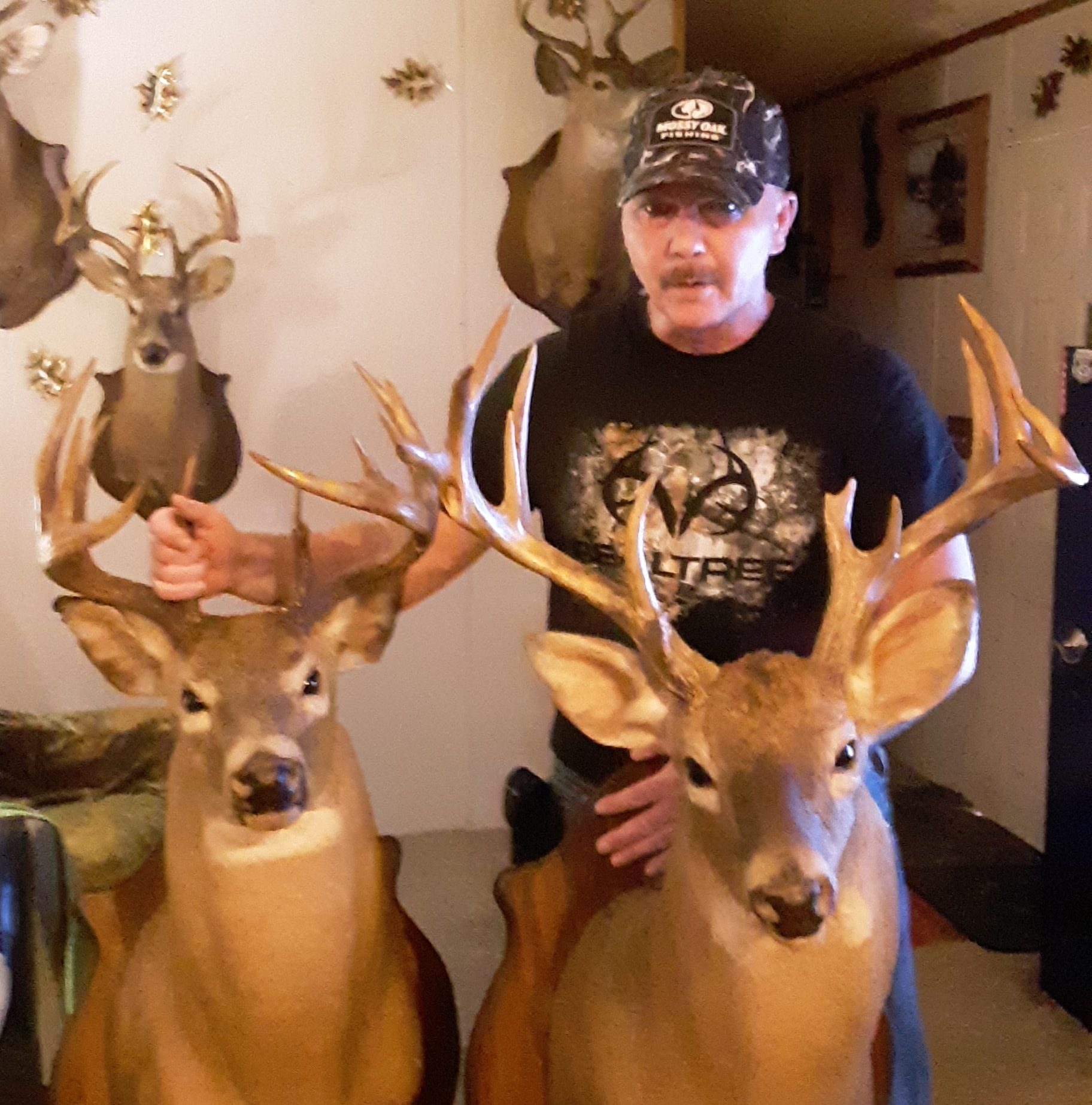 Indiana Deer Hunting | Got My Bow Kill Buck back today that I killed in ...