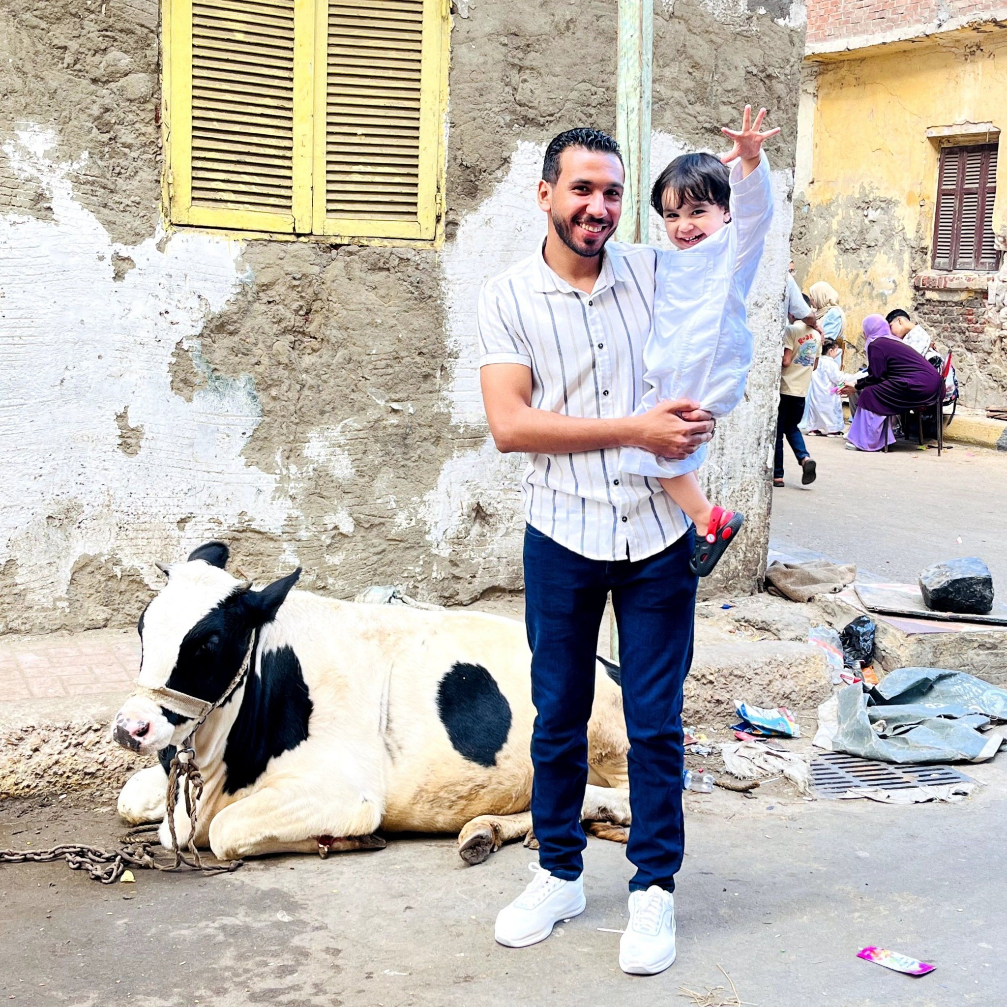 Tarek M Rashad
