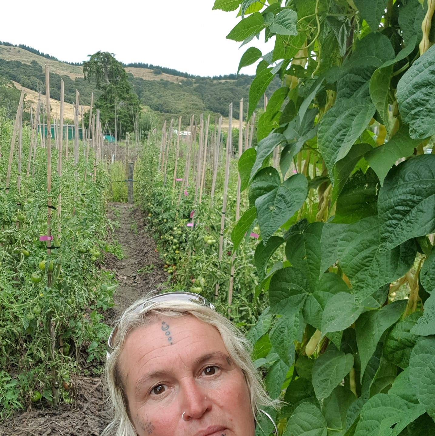 Permaculture in New Zealand | Has anyone got any thoughts of organic ...