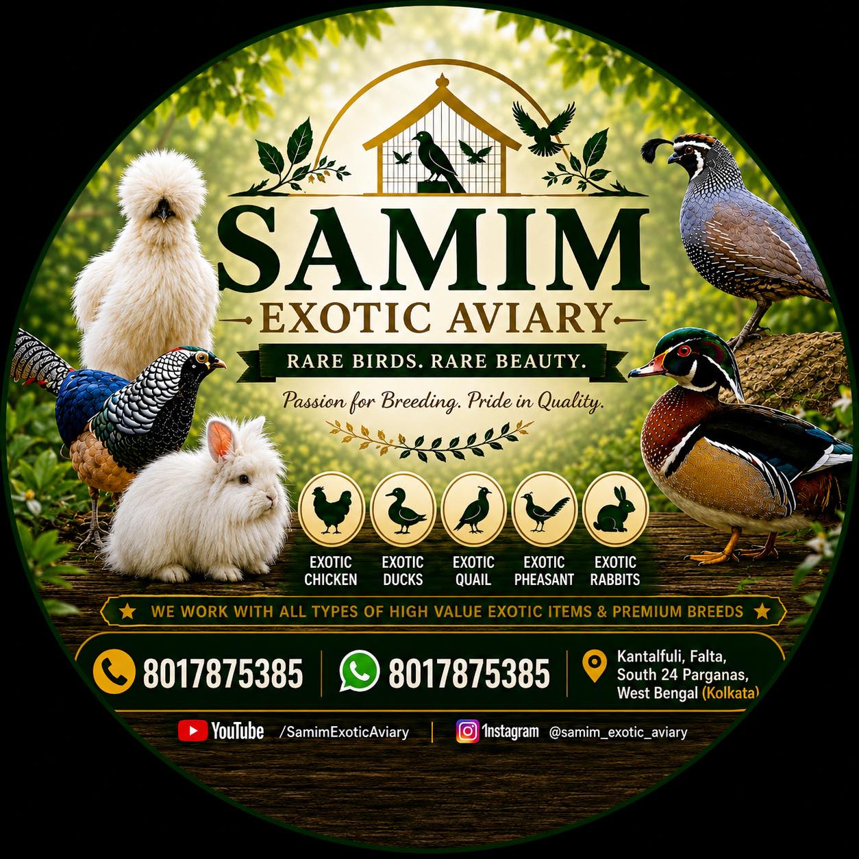 Samim Mollah