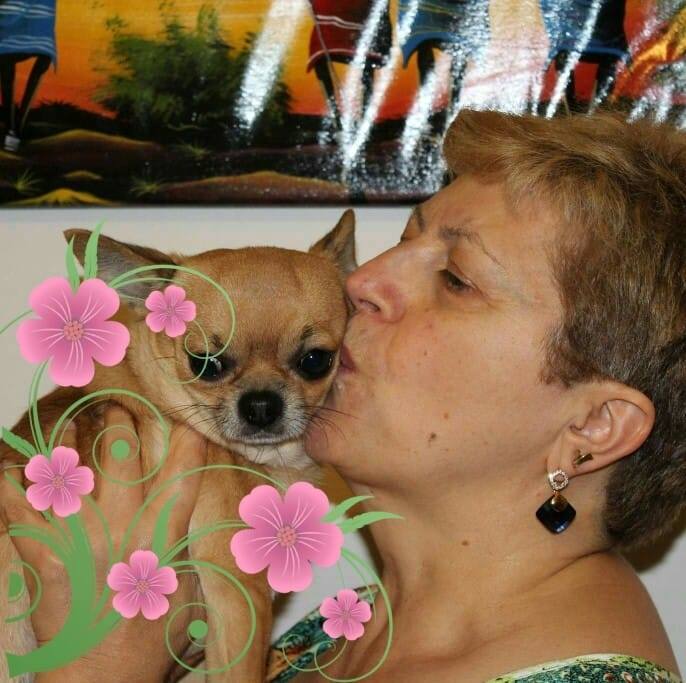 Lindsaylover Tinerfe🩵 S: GC RW Lindsaylover Moshi D: D'Hesperides ...