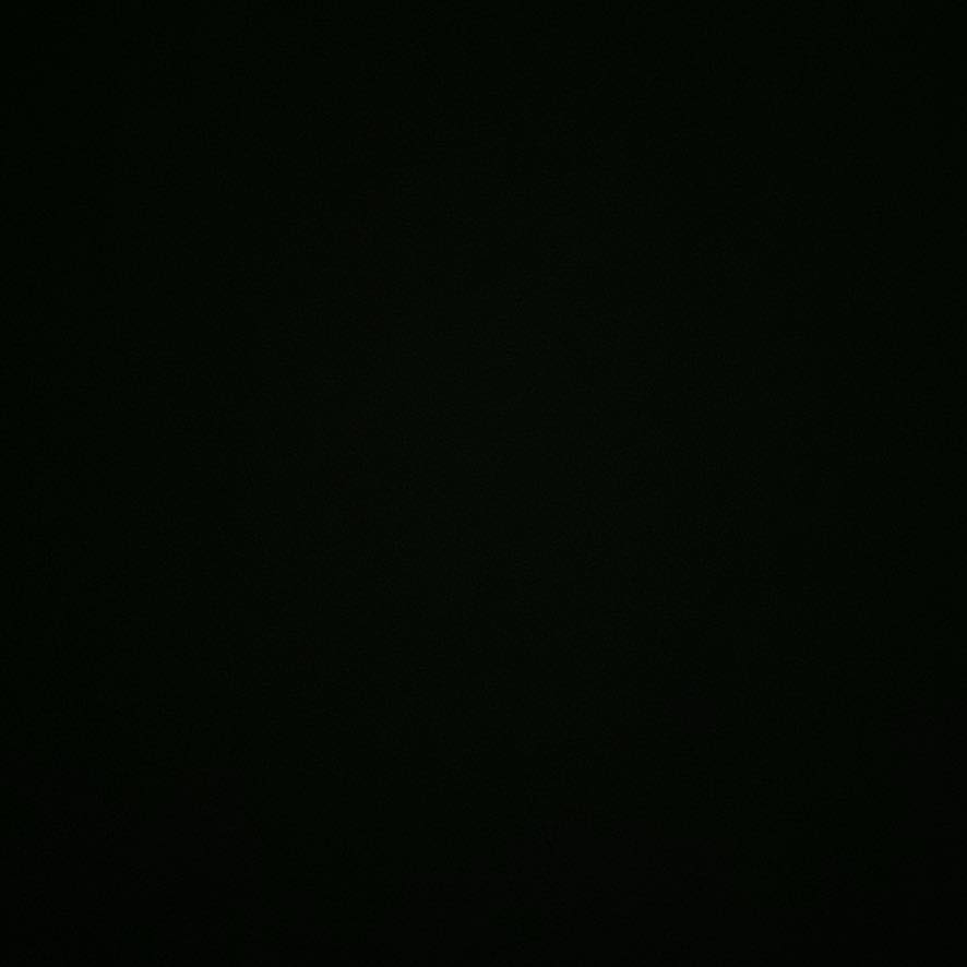 Dxvid Sxnt