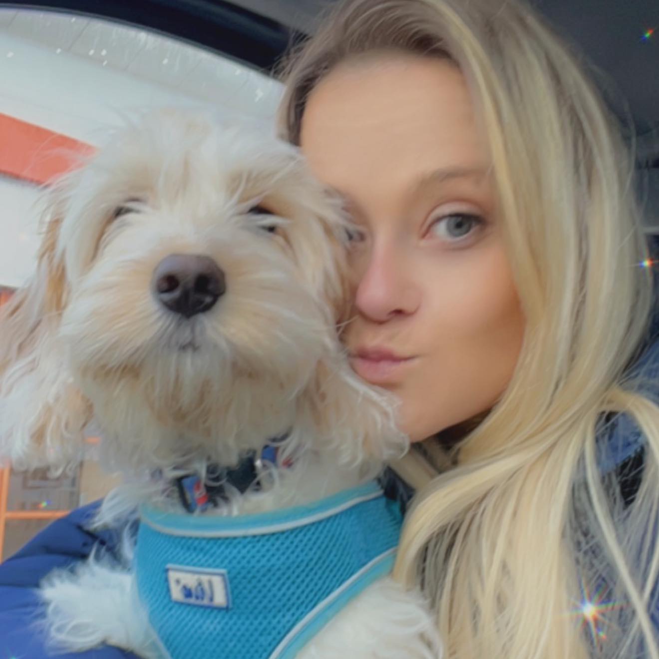 Has anyone tried melatonin on their cockapoo? | Facebook