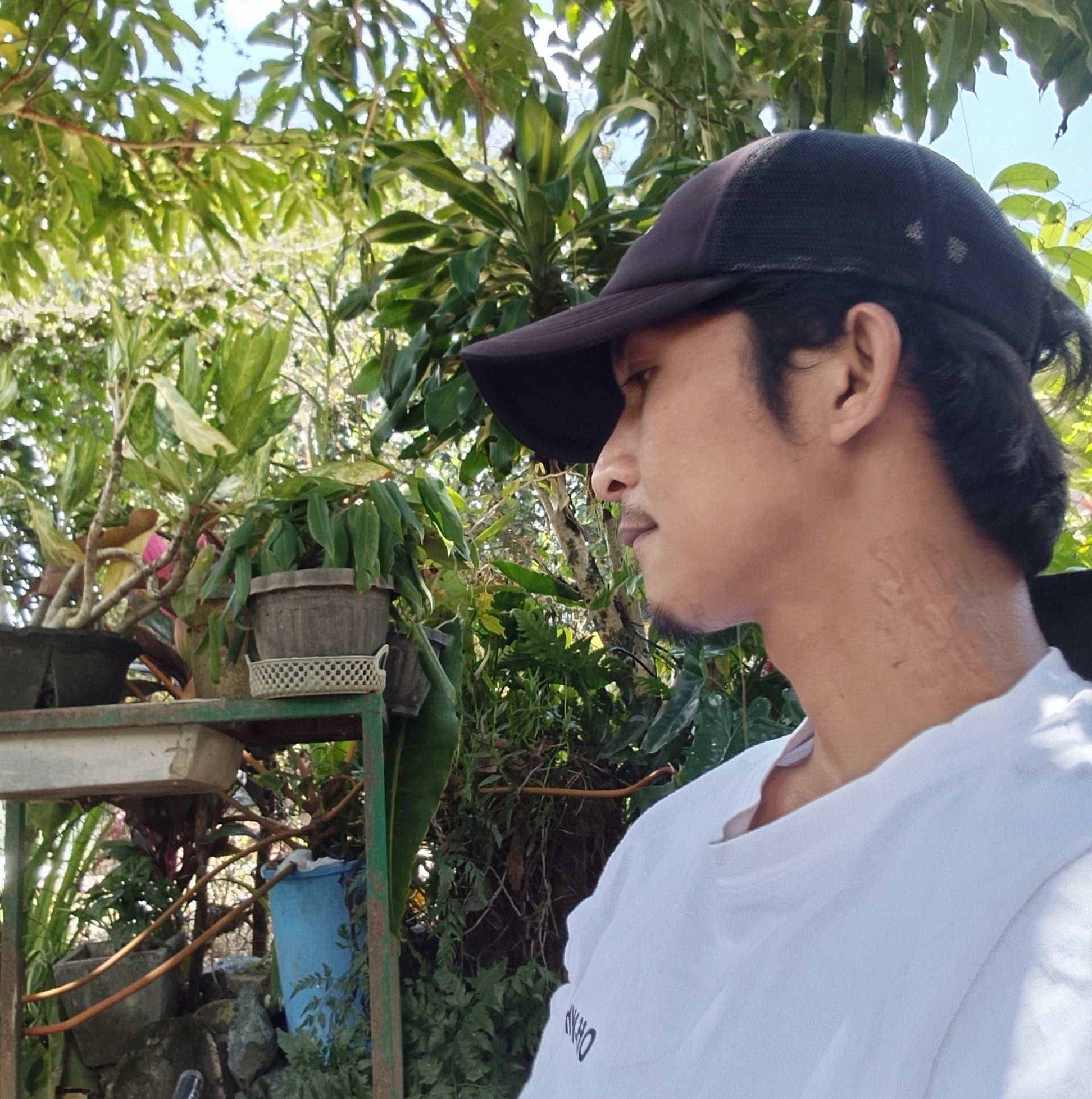 Mago Dong Pitoy