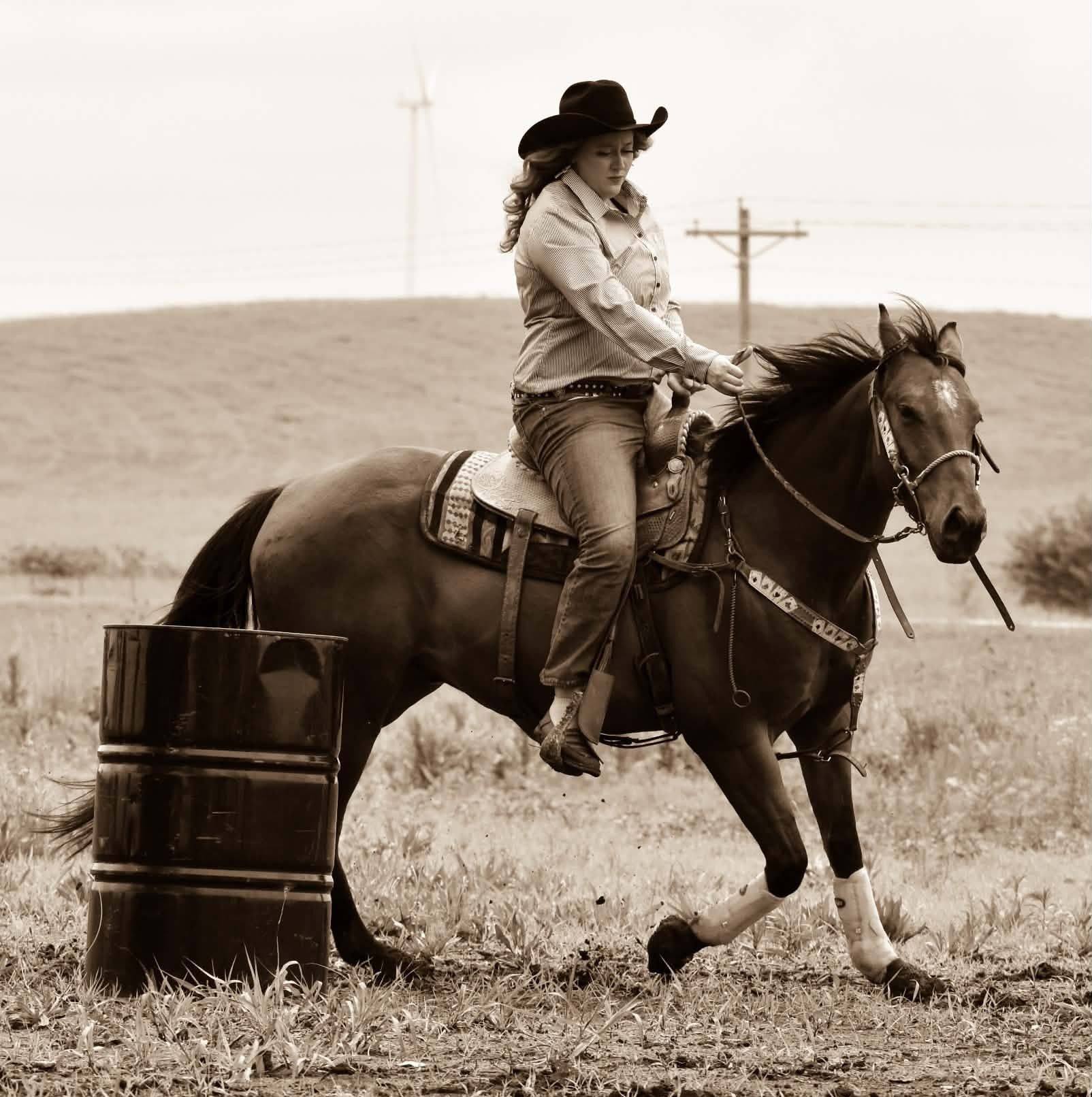 BLM Internet Adoption/ Online Corral | For those gentling and planning ...