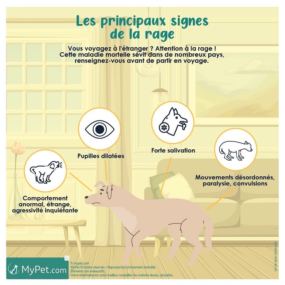 La France est officiellement... - Les Vétérinaires du Rocher | Facebook