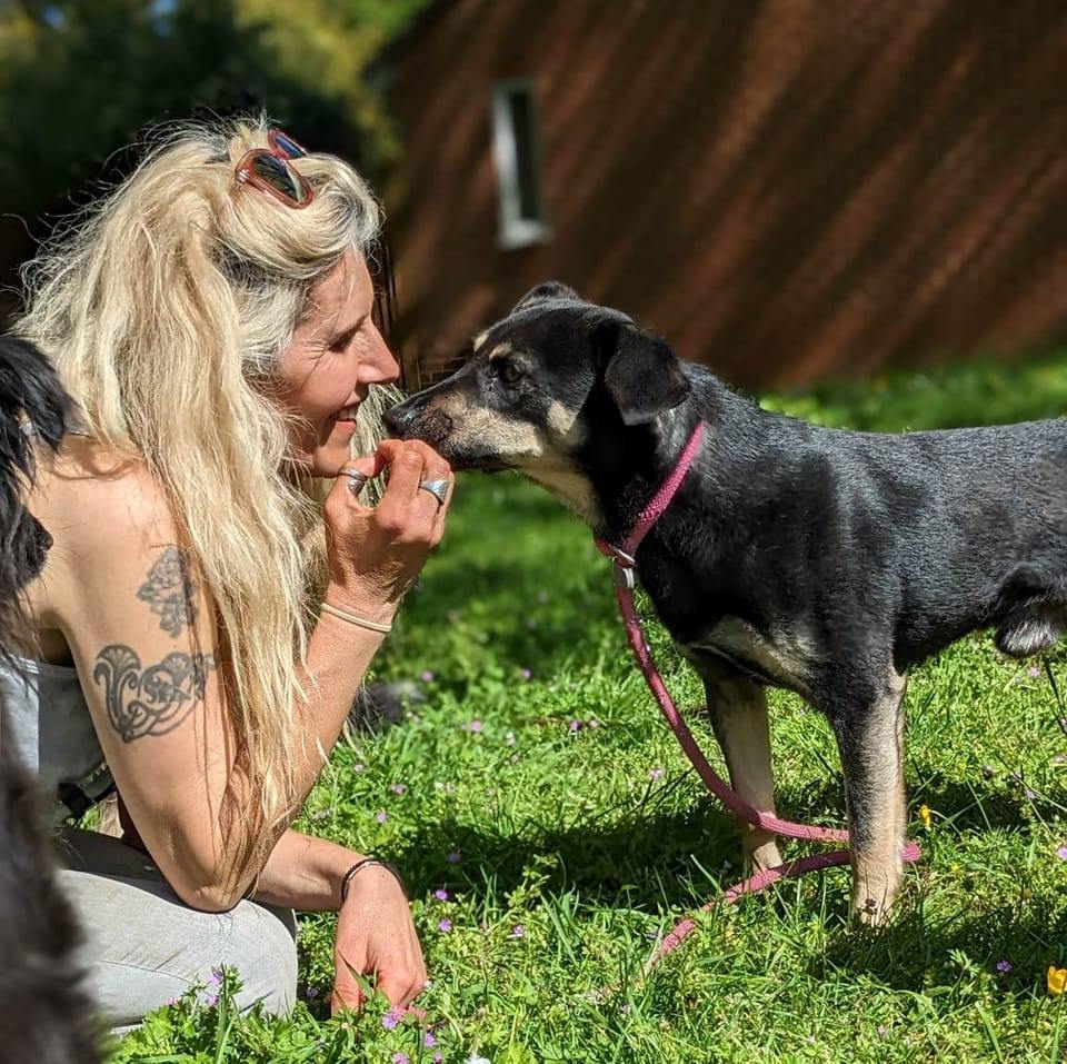 The Long and Short... - The Long and Short of It: Dog Rescue