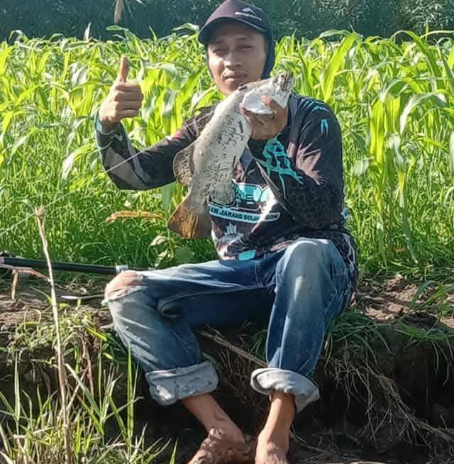 Jebakan ikan belanak botol ampuh...🎣 Umpan : - tepung terigu - kaldu ...