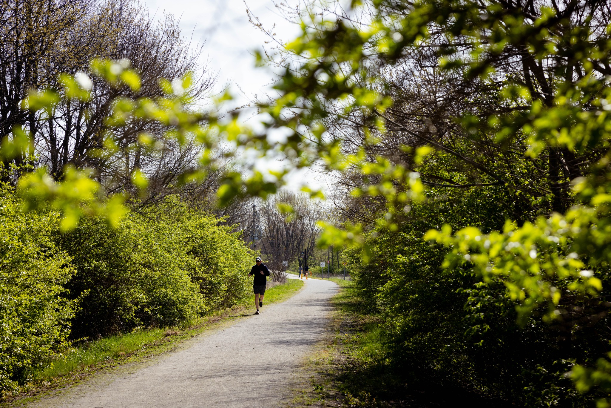 Kickapoo Rail Trail | Urbana IL