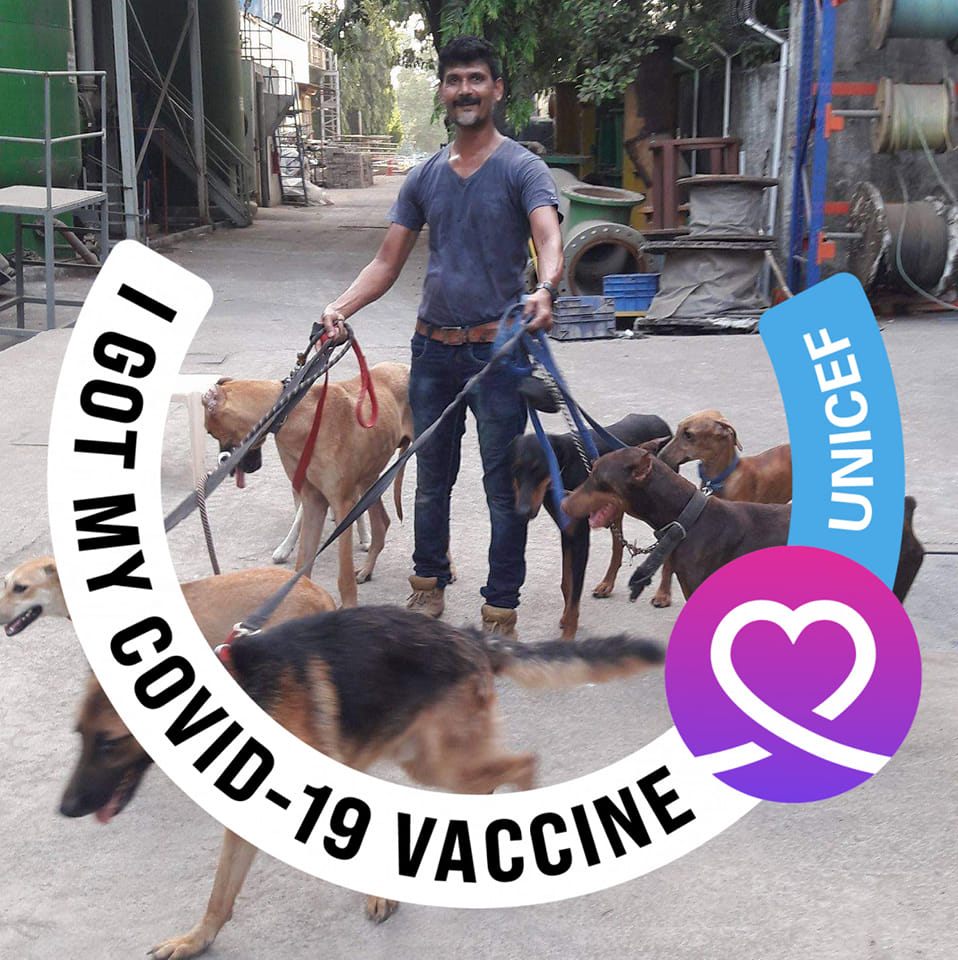 💫PUNE MUMBAI TOP DOG BREEDERS DEALERS N PARENTS 🌍 | BELGIAN MALINOIS ...