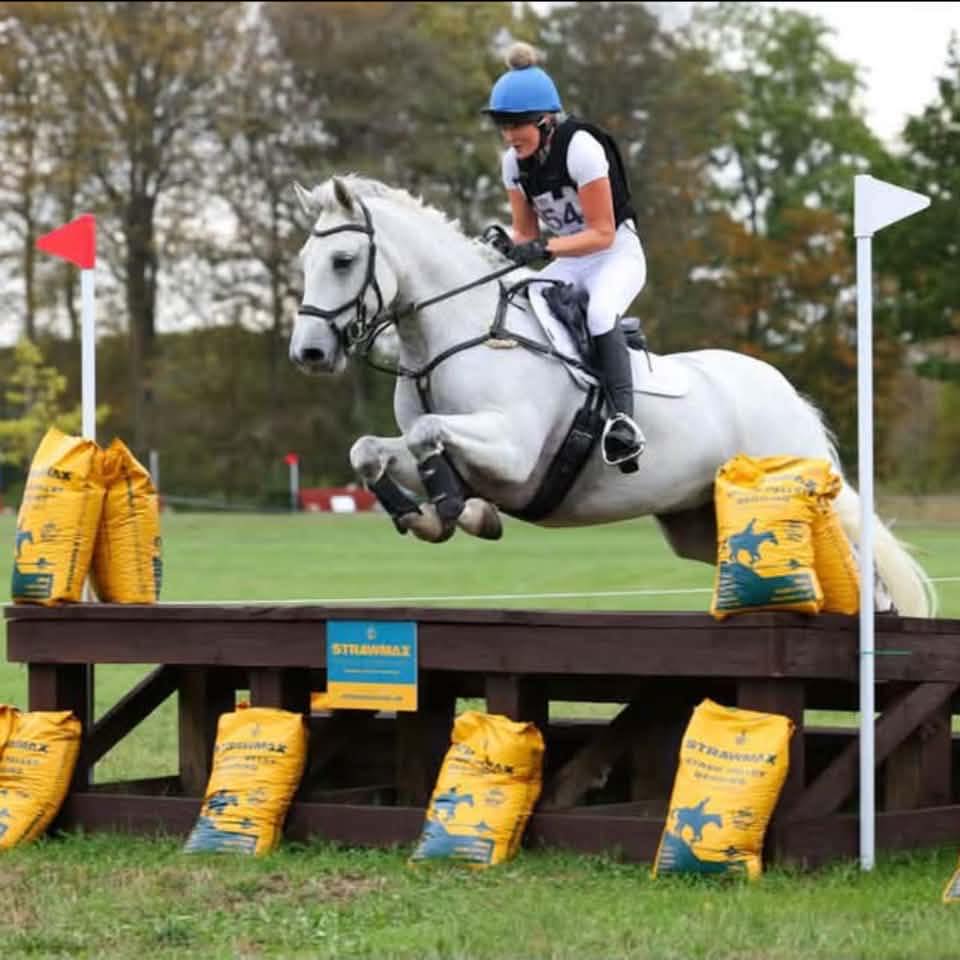 Tumpy - COMING SOON TO TUMPY GREEN – HOBBY HORSES 2026! Get ready for ...