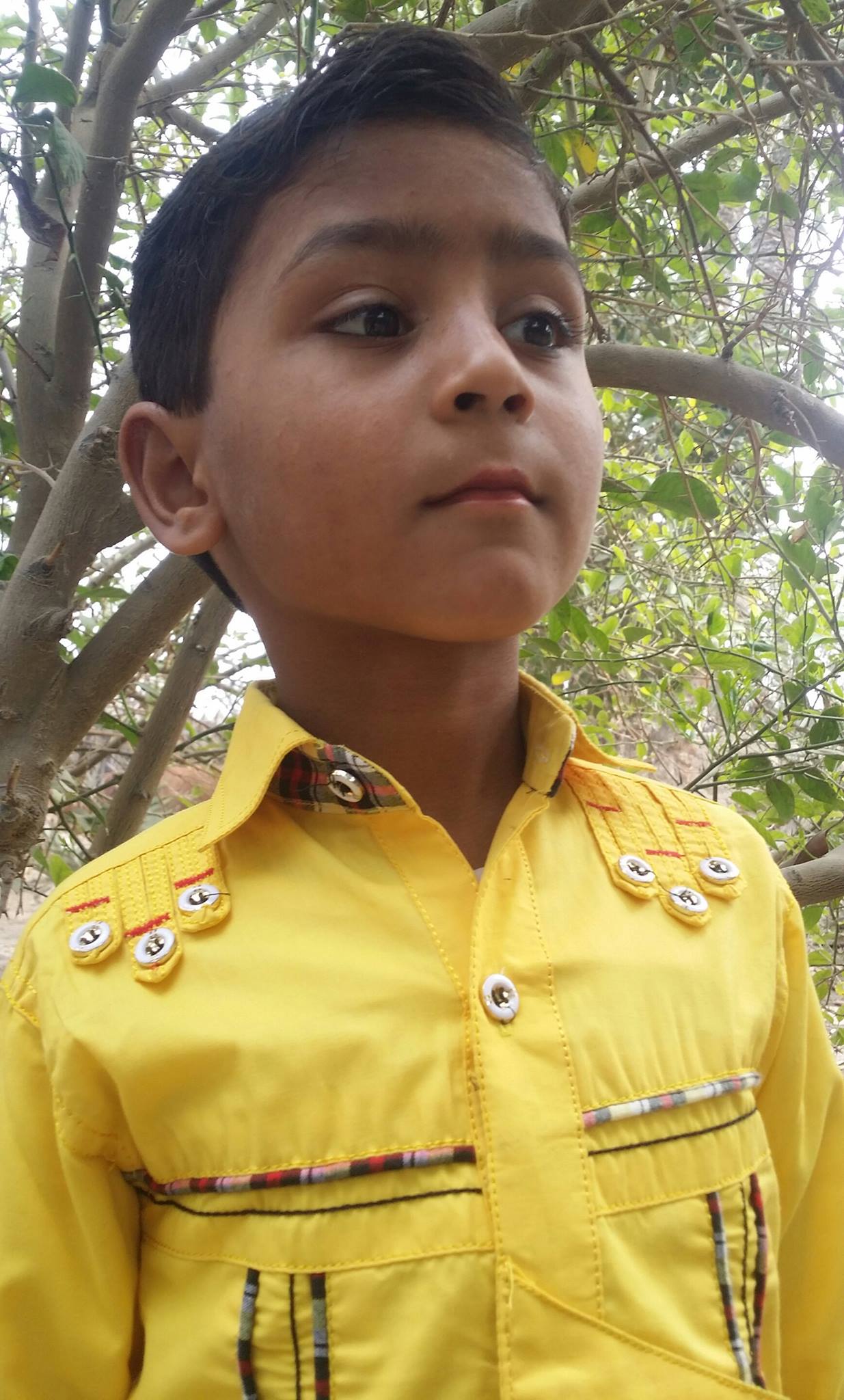 ?media_id=100008286005390